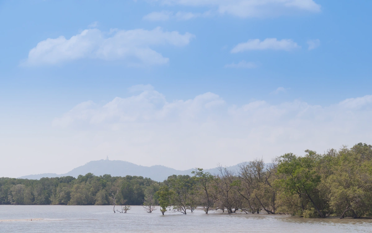 Catching the Carbon Dioxide in the Air