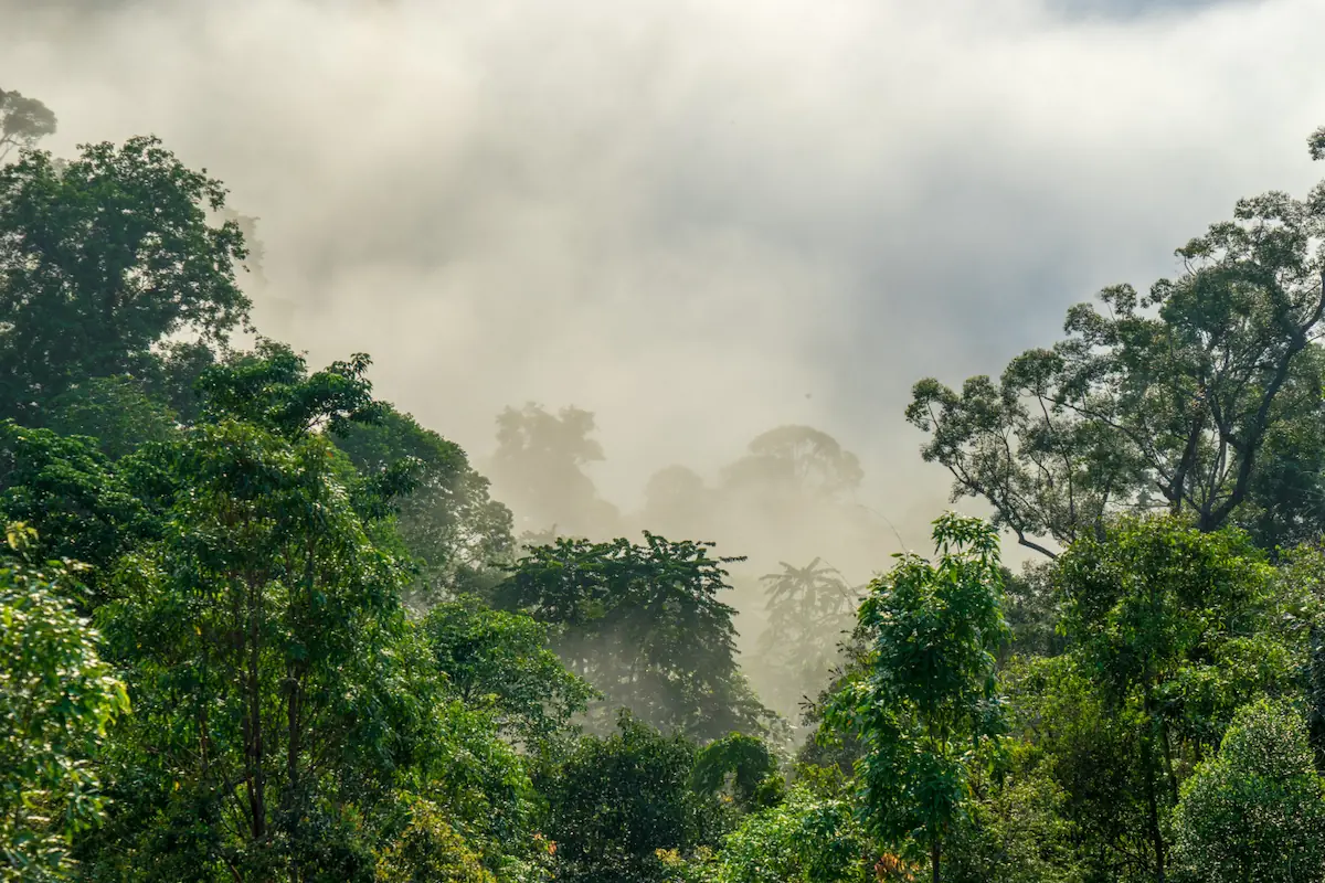 Preventing Climate Change