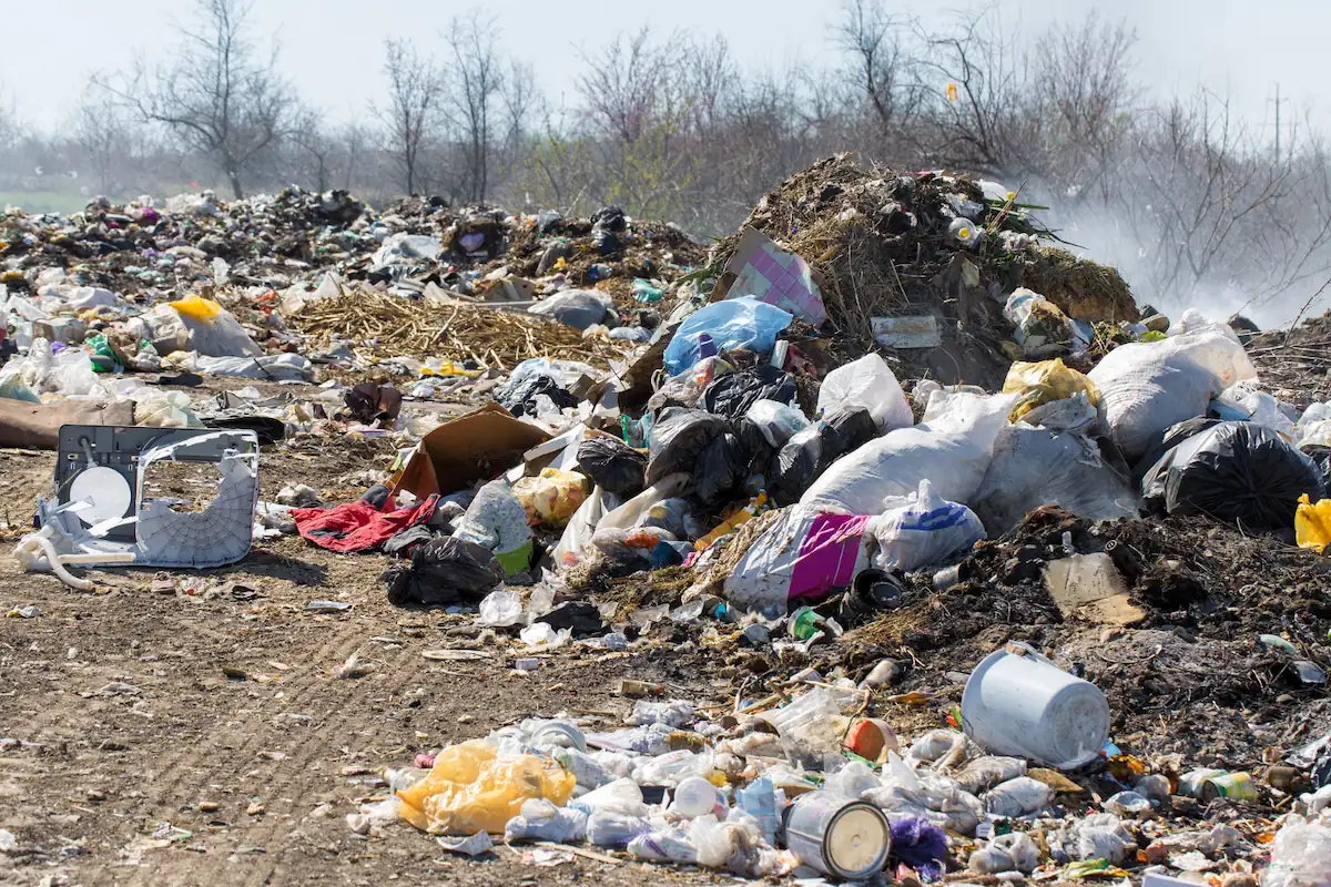 The Definition of Waste and Garbage