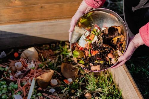 Compost Organic Waste
