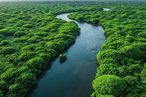 Mengenal Biodiversitas di Indonesia