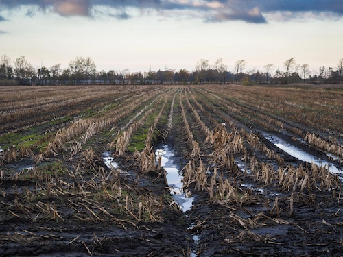 Waste Produced by Agricultural Activities