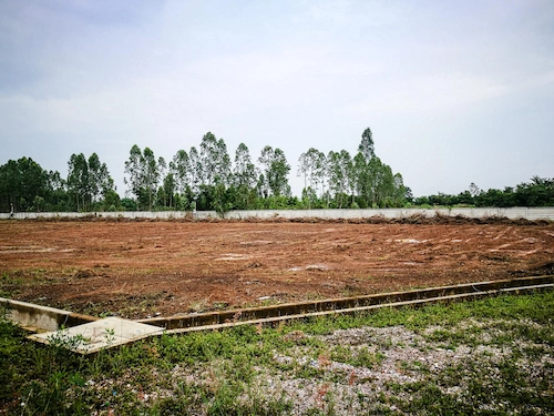 Revitalization of Vacant Land or Riverbanks