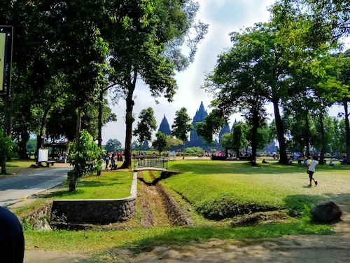 Revitalizing School Gardens or Public Facilities