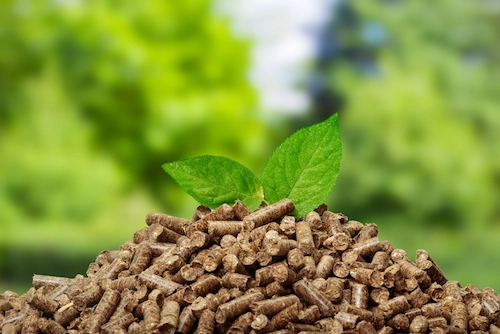 Bioenergi (Bioenergy)