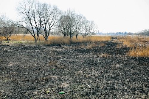 Cara Mengurangi Pencemaran Tanah