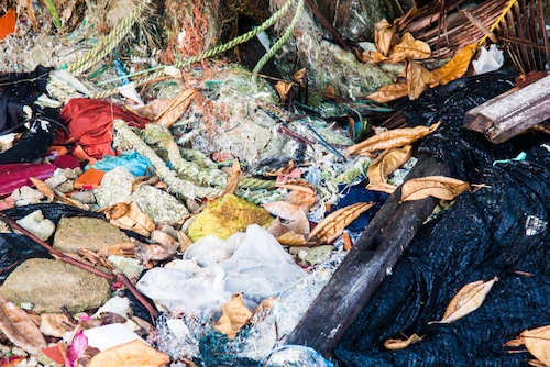 Characteristics of Textile Waste