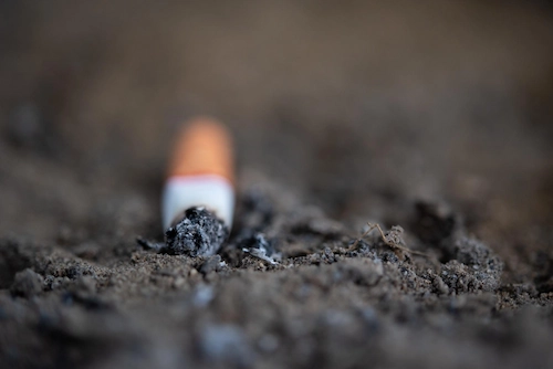 Bahaya Sampah Puntung Rokok yaitu Mencemari Tanah dan Terserap Tanaman