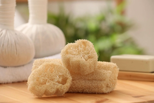 Apa Itu Loofah