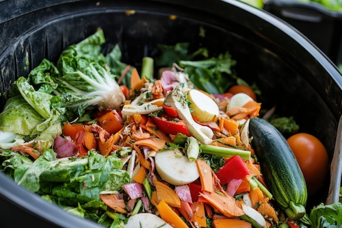 collection of organic vegetable and fruit waste in the trash