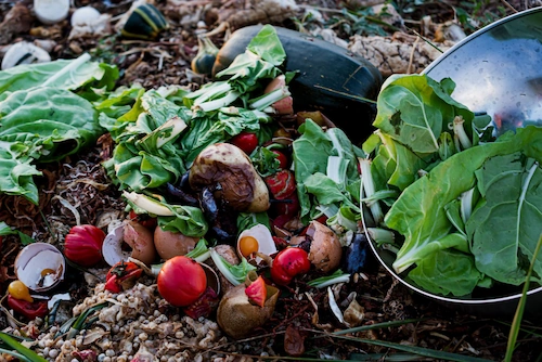 Tumpukan sampah organik untuk pembuatan kompos