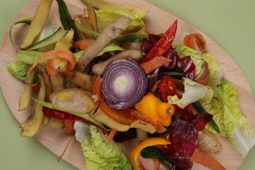 Organic waste, such as vegetable scraps and fruit peels, that can be processed into compost