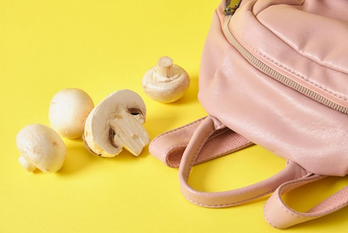 Jenis-Jenis Vegan Leather