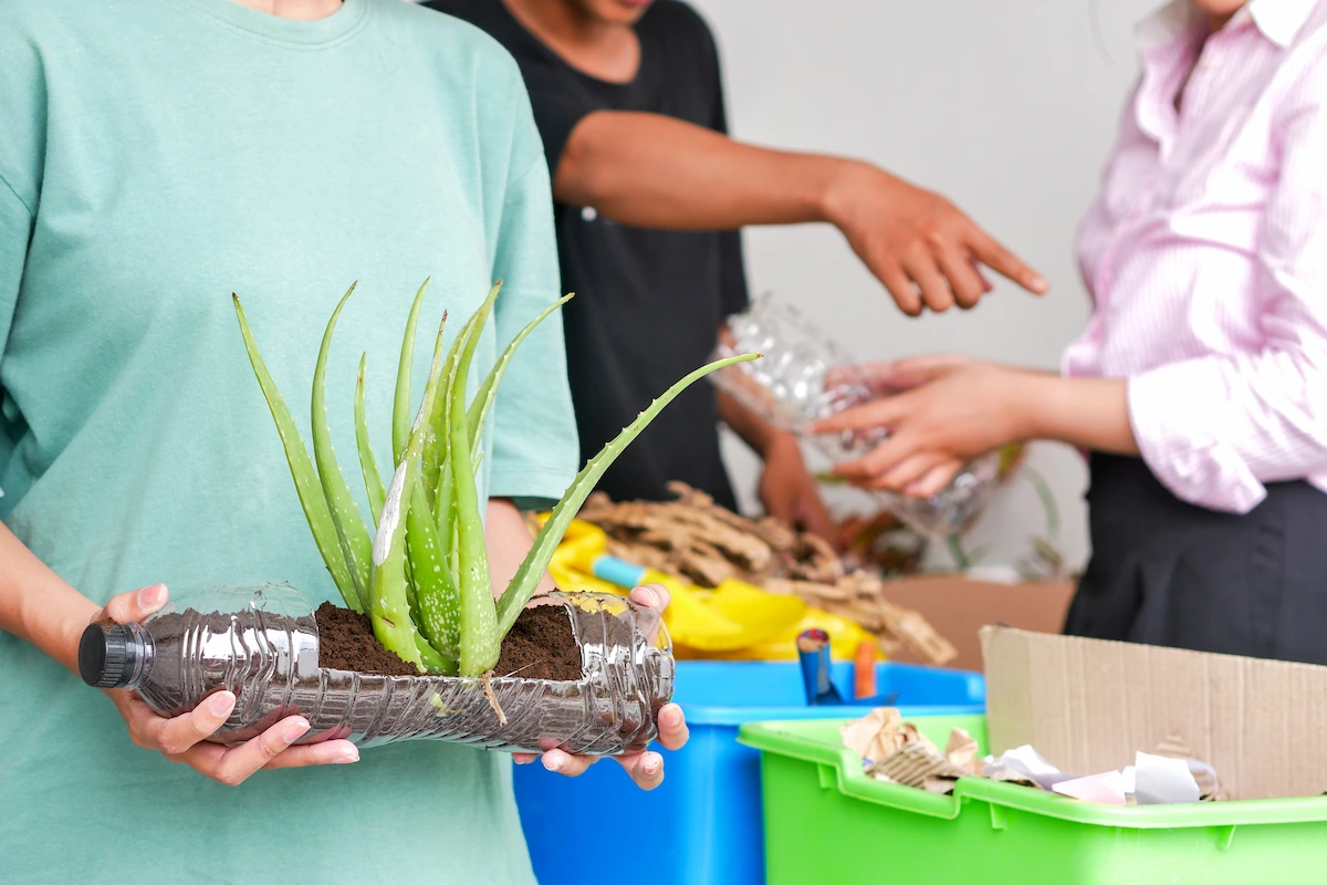 Apa Itu Sustainable Living