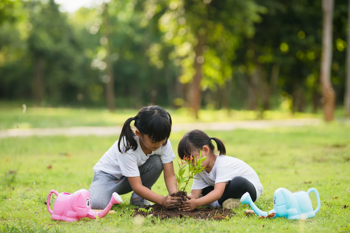 How to Create a Healthy Environment