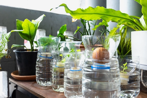 Daur ulang botol plastik menjadi pot tanaman untuk melestarikan bumi dan melindungi lingkungan