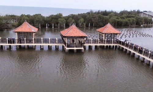 Hutan Mangrove Pekalongan, Jawa Tengah