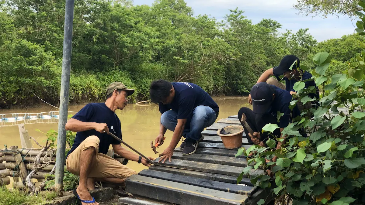 Mengapa Hutan Mangrove Penting