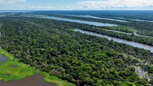 Pemandangan hutan hujan Amazon yang merupakan salah satu hutan terbesar di dunia