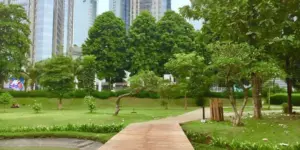 Hutan Kota GBK, Jakarta Pusat