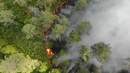 Kebakaran hutan hebat yang memicu degradasi atmosfer