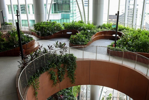Taman luas di dalam ruangan kantor yang mengusung konsep green office