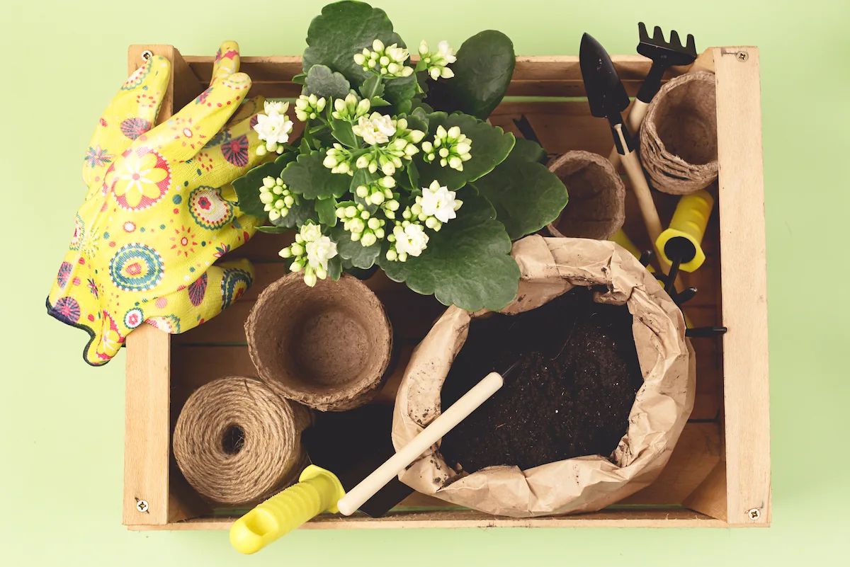 seperangkat perlengkapan berkebun sebagai hadiah ramah lingkungan