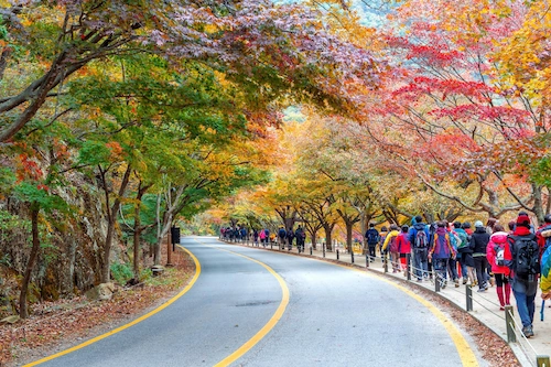 Seoul, Korea Selatan dinobatkan sebagai kota paling ramah pejalan kaki di dunia