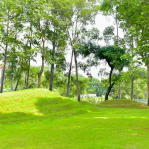 Taman Hutan Kota Tebet, Jakarta Selatan
