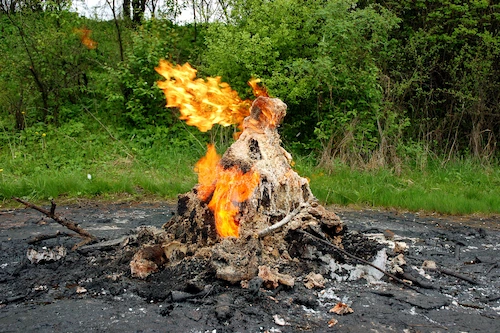 Pembakaran sampah di pinggir hutan