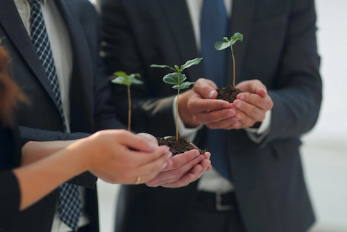 Penanaman bibit pohon sebagai bentuk program CSR