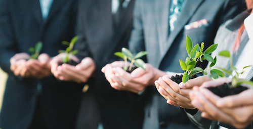 Pelaku bisnis membawa bibit tanaman untuk program CSR